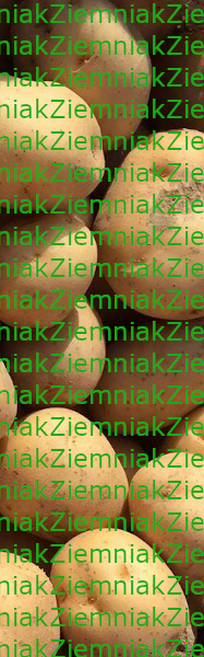 Komputer jest kłamstwem
